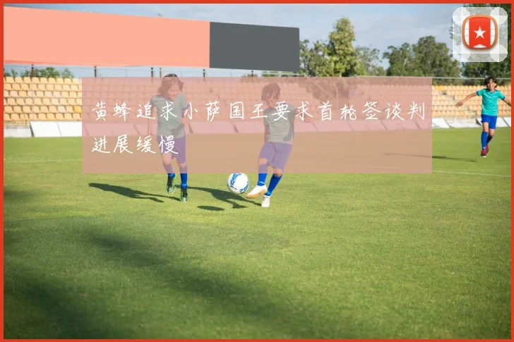 黄蜂追求小萨国王要求首轮签谈判进展缓慢