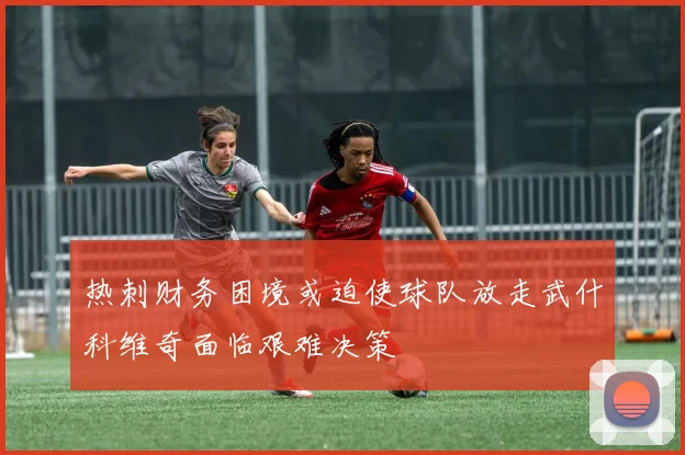 热刺财务困境或迫使球队放走武什科维奇面临艰难决策